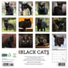 image Black Cats 2025 Wall Calendar First Alternate Image width=&quot;1000&quot; height=&quot;1000&quot;