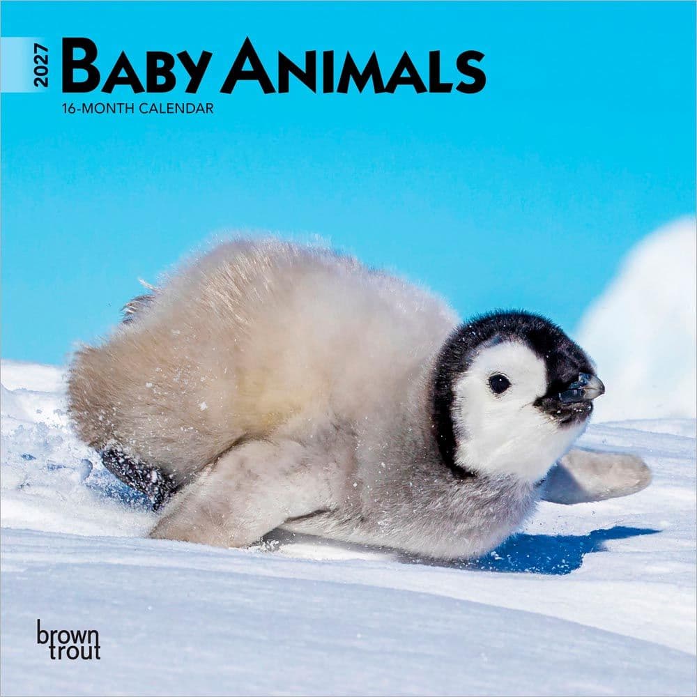 Baby Animals 2027 Mini Wall Calendar Main Product Image