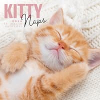 image Naptime Cats Special Value 2026 Wall Calendar Main Image