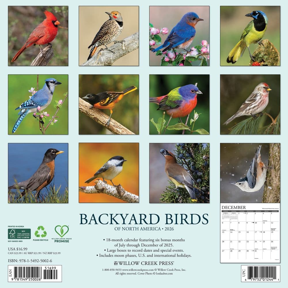 Birds Backyard 2026 Wall Calendar First Alternate Image