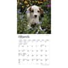 image Jack Russell Terrier Puppies 2024 Mini Wall Calendar Second Alternate Image width=&quot;1000&quot; height=&quot;1000&quot;