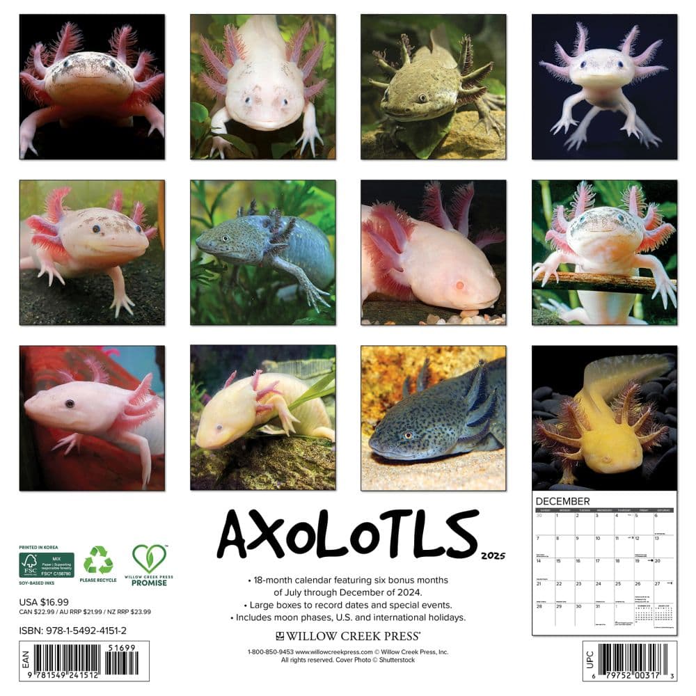 Axolotls 2025 Wall Calendar First Alternate Image width=&quot;1000&quot; height=&quot;1000&quot;