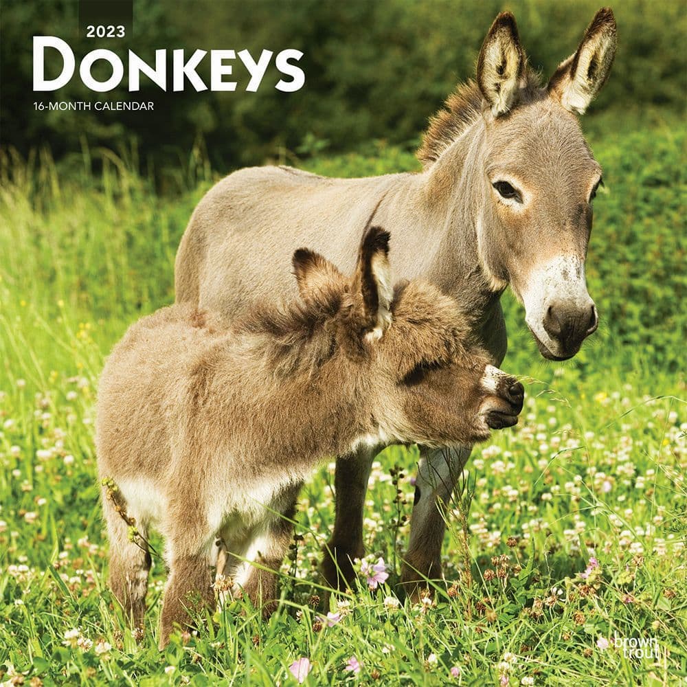 Donkeys 2023 Wall Calendar