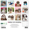 image Just Shih Tzu Puppies 2025 Wall Calendar