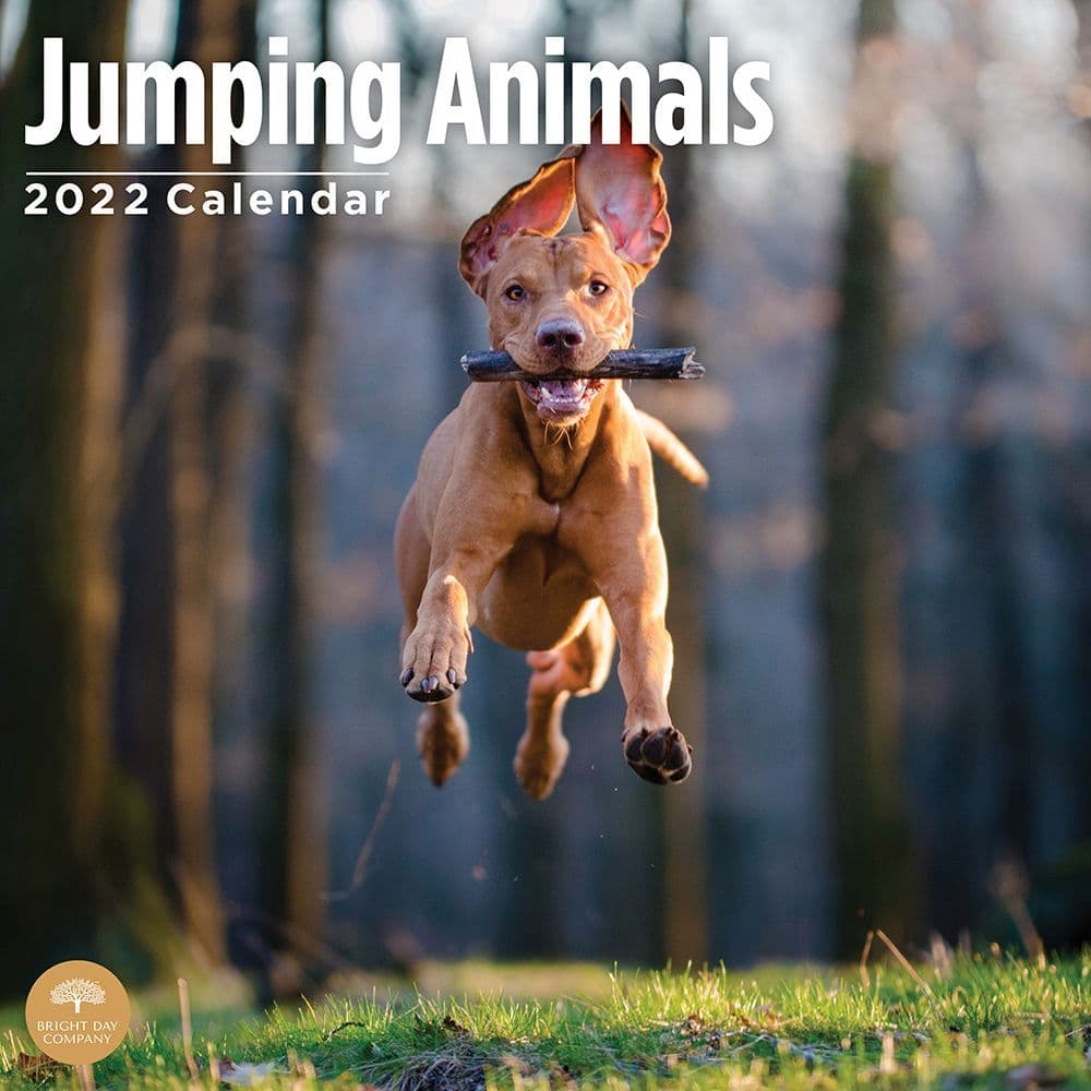 Jumping Animals 2022 Wall Calendar
