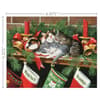 image Waiting For Santa Boxed Christmas Cards Fifth Alternate Image