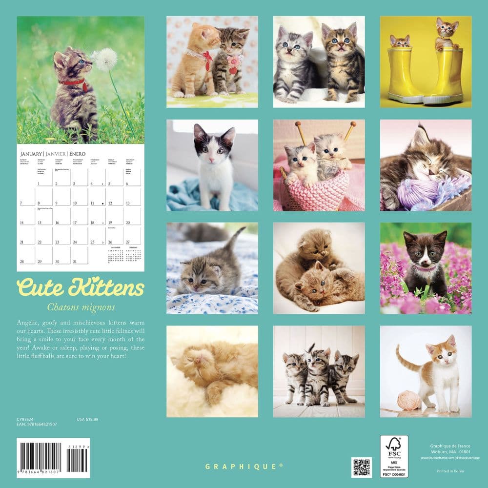 Kittens Cute ASPCA 2024 Wall Calendar