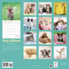 image Kittens Cute ASPCA 2024 Wall Calendar First Alternate Image width=&quot;1000&quot; height=&quot;1000&quot;