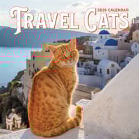 image Travel Cats 2026 Wall Calendar Main Image