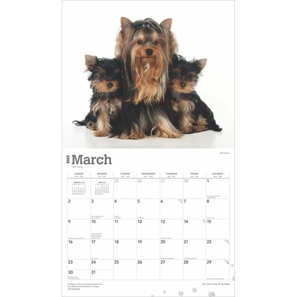 Yorkshire Terriers Deluxe 2025 Wall Calendar Second Alternate Image