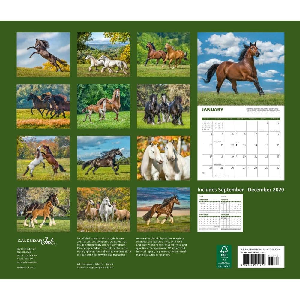 Horses Deluxe Wall Calendar