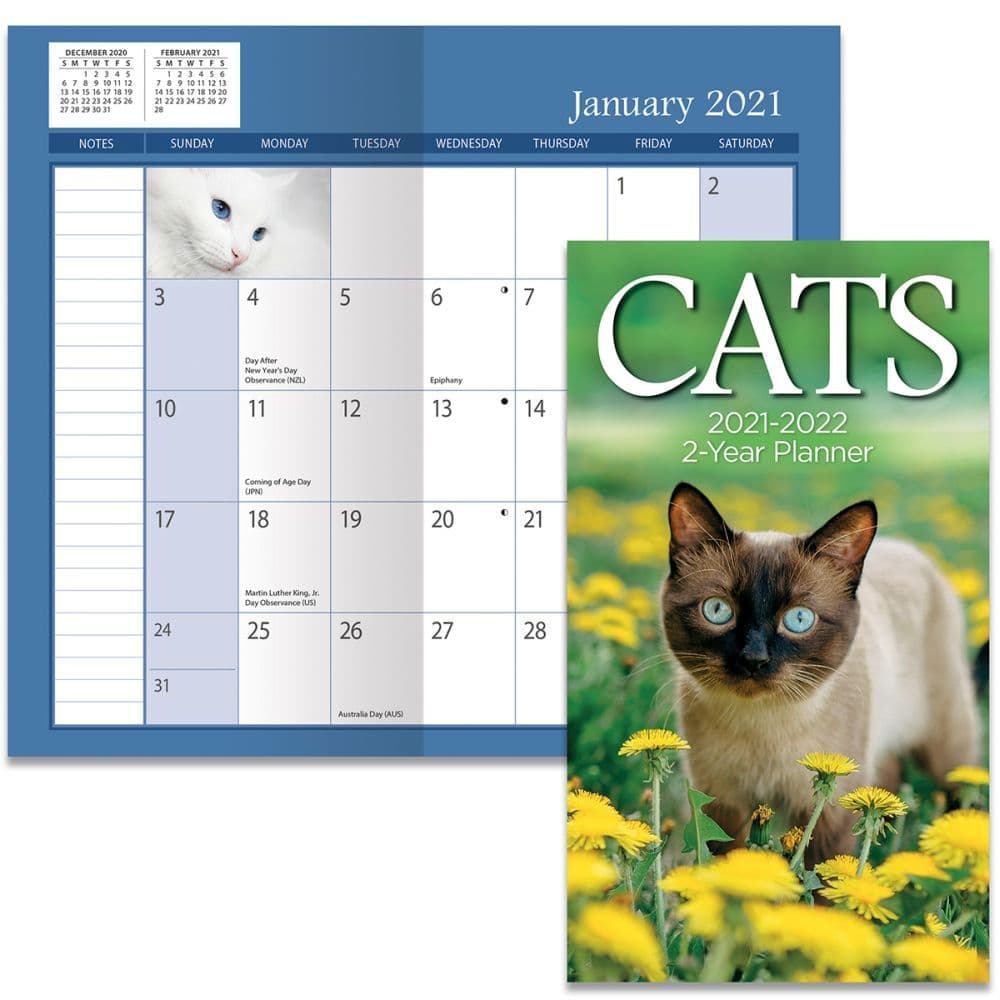 Cats Two-Year Planner