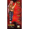 image WWE Legends 2025 Wall Calendar Third Alternate Image