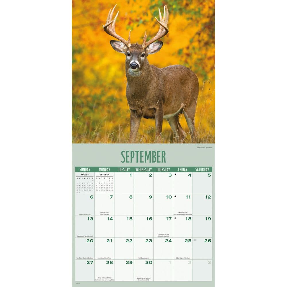 Whitetail Monarchs 2026 Wall Calendar Fourth Alternate Image