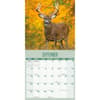 image Whitetail Monarchs 2026 Wall Calendar Fourth Alternate Image
