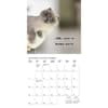 image Nuthin But Trouble 2024 Mini Wall Calendar Second Alternate Image width=&quot;1000&quot; height=&quot;1000&quot;