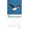 image Puffins 2025 Wall Calendar Second Alternate Image width=&quot;1000&quot; height=&quot;1000&quot;