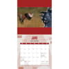 image Star Trek Cats 2026 Wall Calendar Third Alternate Image