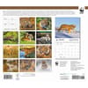 image Tigers WWF 2026 Wall Calendar First Alternate Image