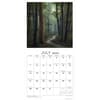 image Soul of the Forest 2024 Wall Calendar Alt2