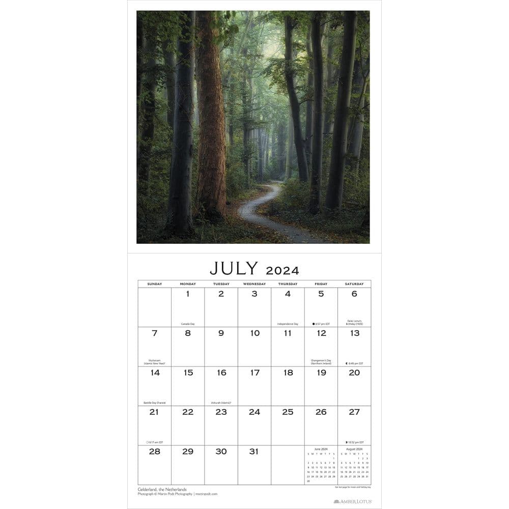 Soul of the Forest 2024 Wall Calendar Alt2