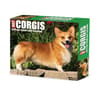 image Just Corgis 2025 Desk Calendar Main Product Image