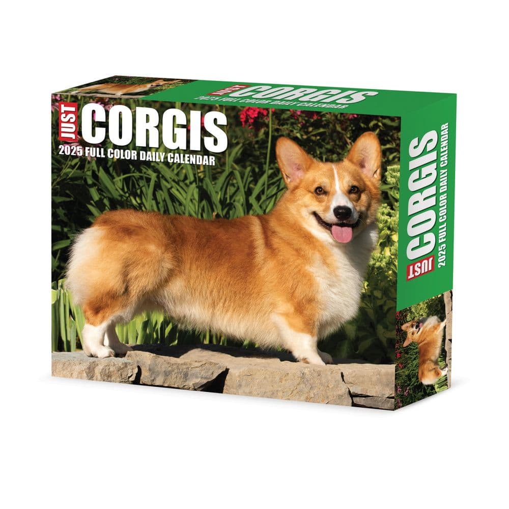 Just Corgis 2025 Desk Calendar Main Product Image