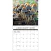 image Mushroom Photo 2026 Wall Calendar