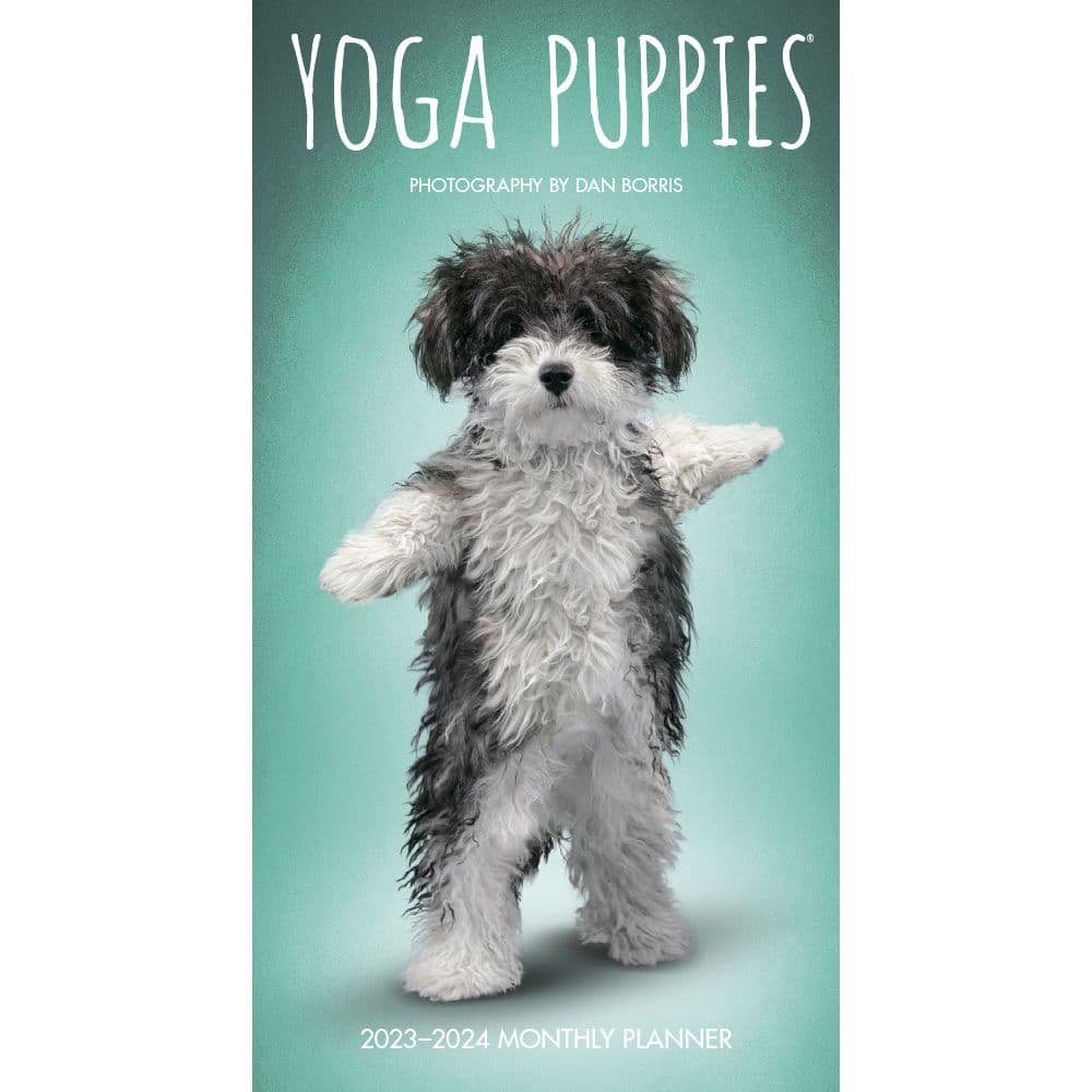 BrownTrout Yoga Puppies 2023 Two-Year Pocket Planner