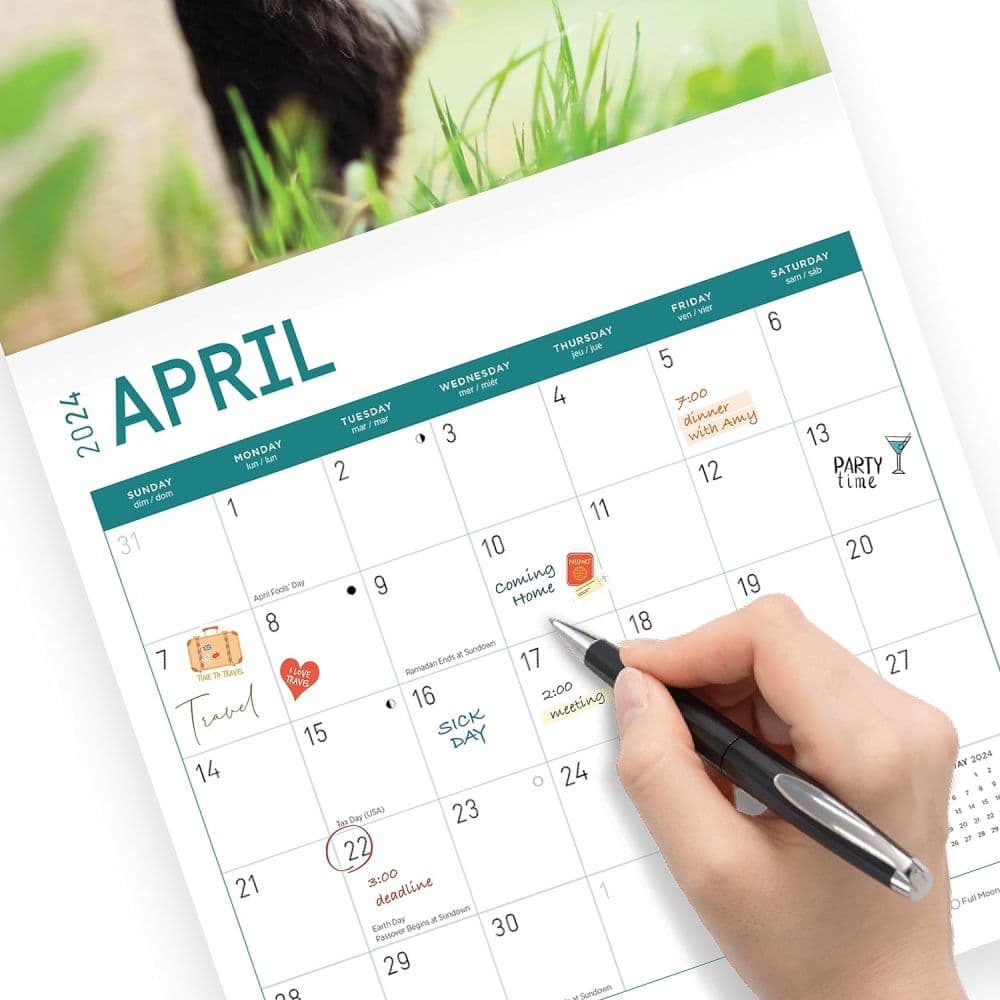 Tuxedo Cats 2024 Wall Calendar - Calendars.com