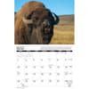 image Trophy Antlers and Horns 2026 Wall Calendar Second Alternate Image