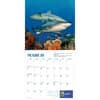 image Sharks Mini 2026 Wall Calendar Second Alternate Image