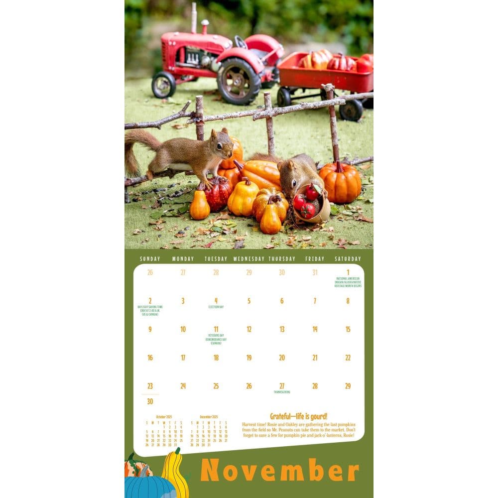 Secret Life of Squirrels 2025 Mini Wall Calendar Third Alternate Image