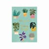 image Potted Plants Get Well Card First Alternate  Image width=&quot;1000&quot; height=&quot;1000&quot;