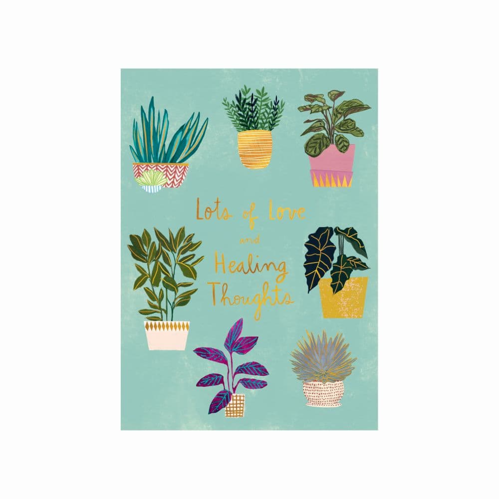 Potted Plants Get Well Card First Alternate  Image width=&quot;1000&quot; height=&quot;1000&quot;