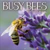 image Busy Bees 2026 Wall Calendar_Main Image