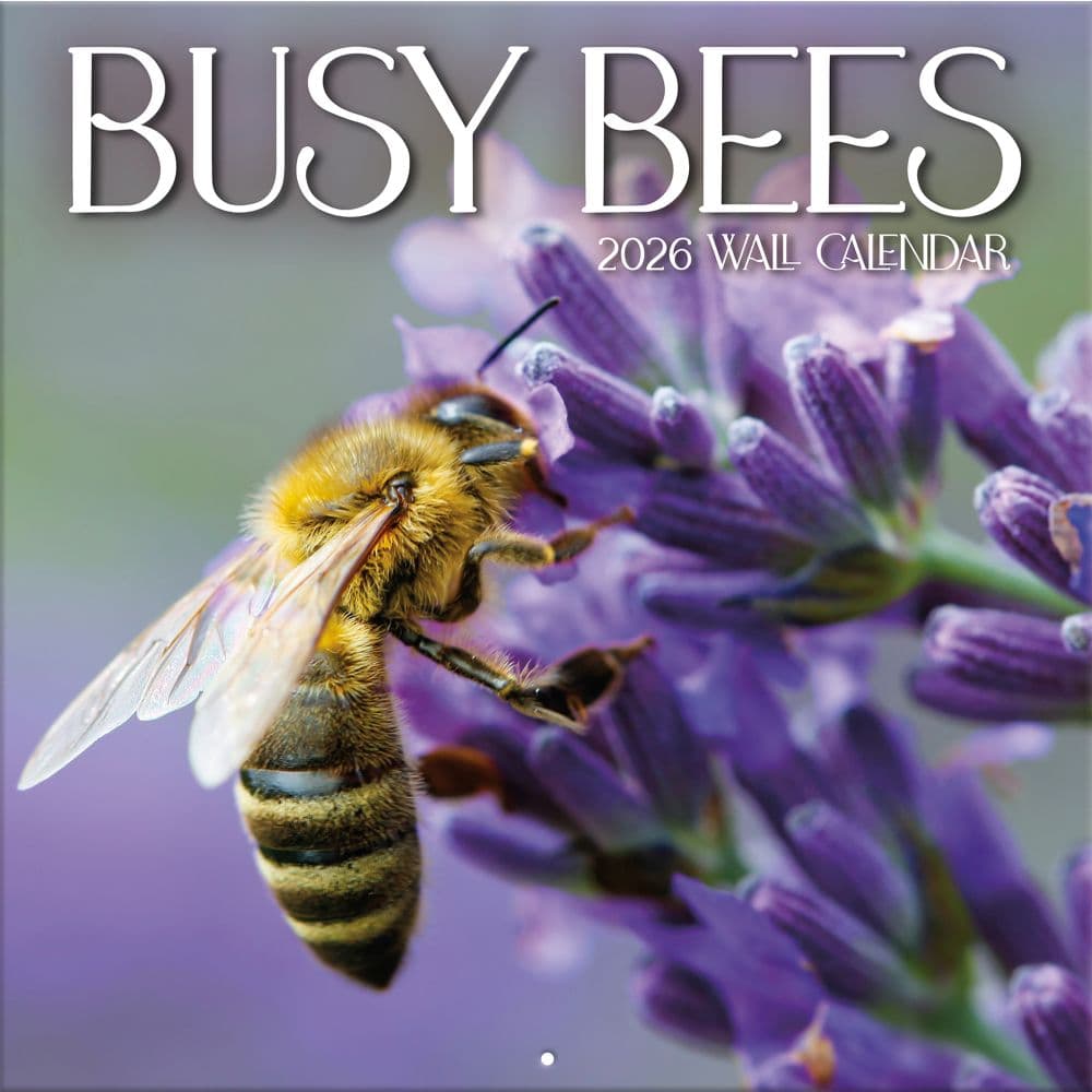 Busy Bees 2026 Wall Calendar_Main Image