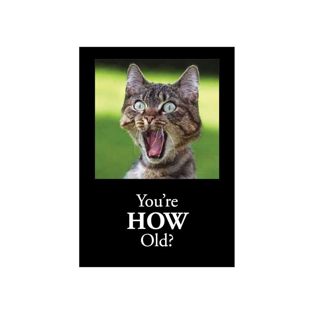 You're How Old Cat Birthday Card First Alternate Image width="1000" height="1000"