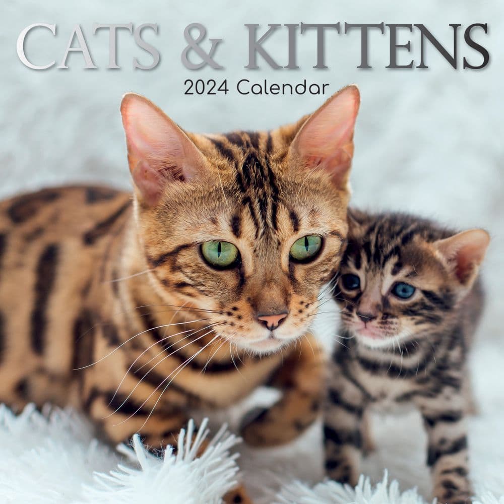 Cats and Kittens 2024 Wall Calendar