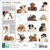 image Puppies and Friends 2025 Wall Calendar First Alternate Image width=&quot;1000&quot; height=&quot;1000&quot;