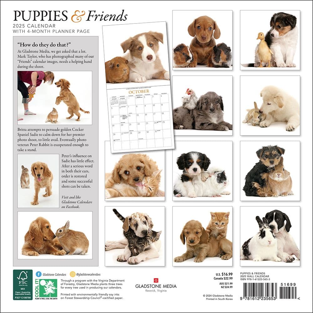 Puppies and Friends 2025 Wall Calendar First Alternate Image width=&quot;1000&quot; height=&quot;1000&quot;