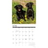 image Just Black Labs 2025 Wall Calendar Second Alternate Image width=&quot;1000&quot; height=&quot;1000&quot;