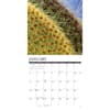 image Cactus 2026 Wall Calendar Second Alternate Image