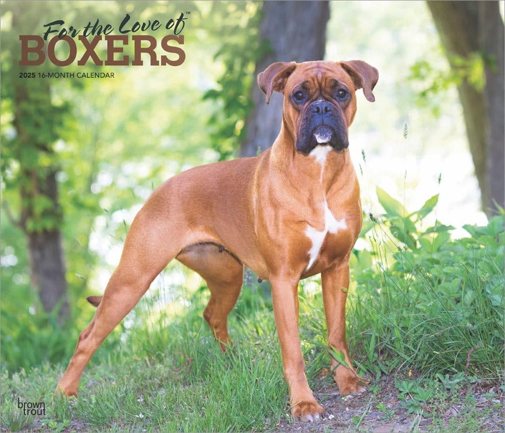 Boxers Deluxe 2025 Wall Calendar