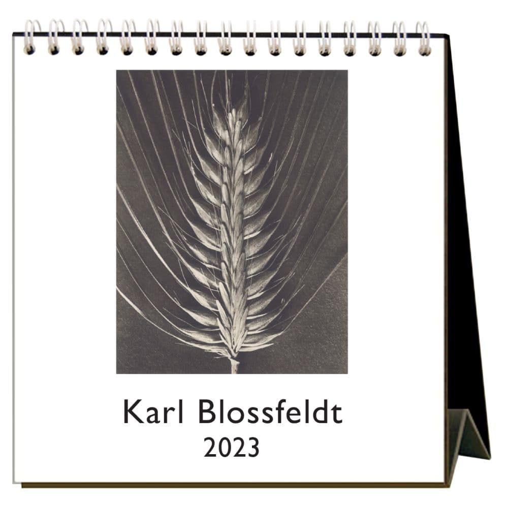 Found Image Press Karl Blossfeldt 2023 Easel Calendar