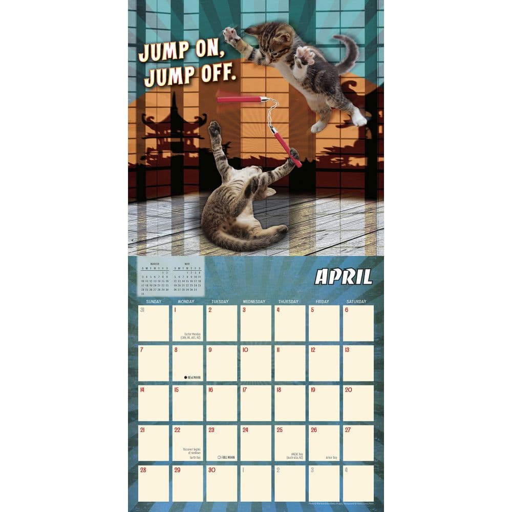 Karate Kat 2024 Wall Calendar