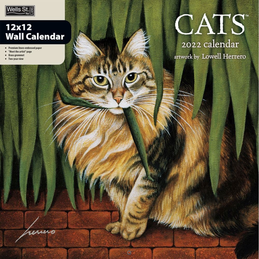 29 Best 2022 Cat Calendars Calendarbuy Com