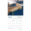 image Shark 2027 Mini Wall Calendar Third Alternate Image