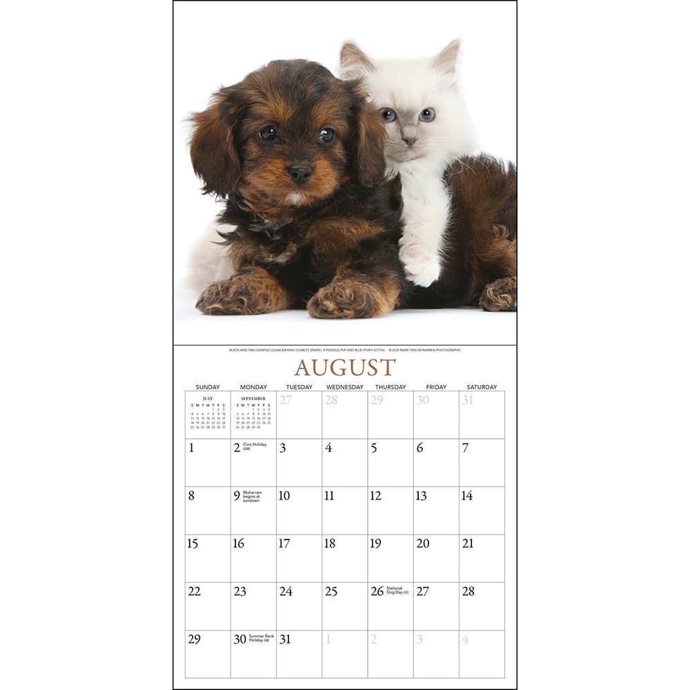 Download Puppies And Friends Mini Wall Calendar - Calendars.com