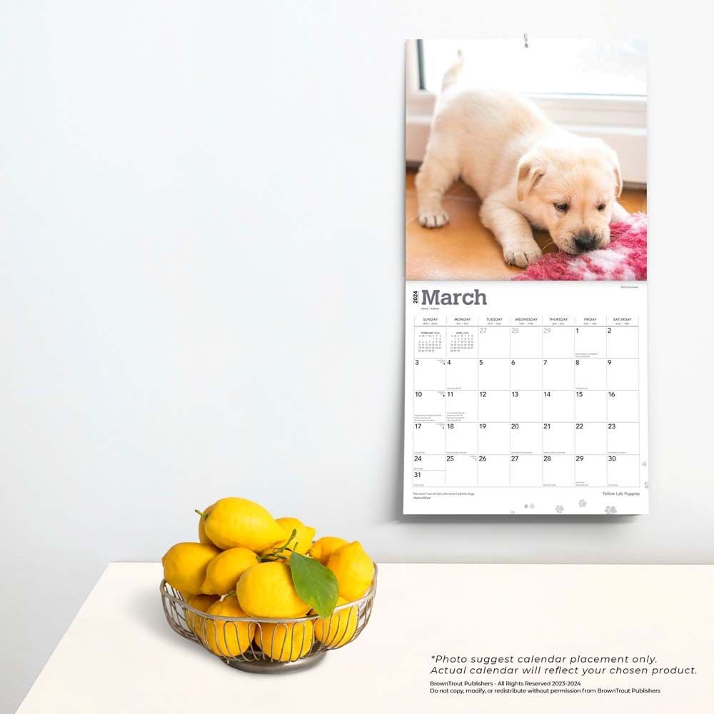 Yellow Lab Retriever Puppies 2024 Wall Calendar Third Alternate Image width=&quot;1000&quot; height=&quot;1000&quot;